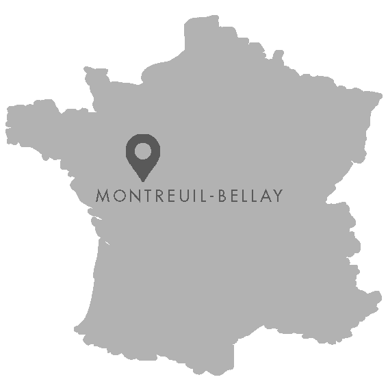 carte-footer